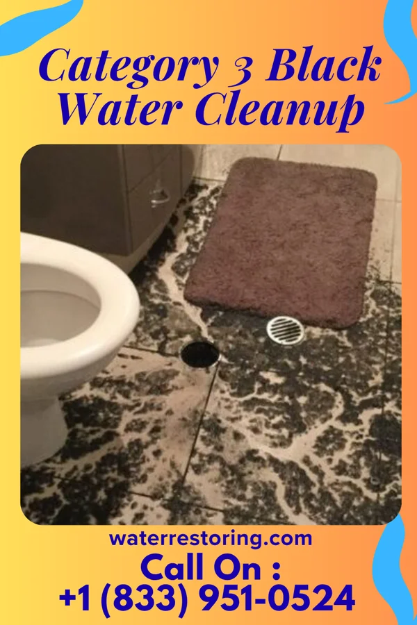 Category 3 Black Water Cleanup in Waldwick, NJ