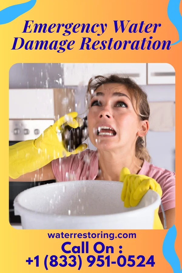 Emergency Water Damage Restoration in Waldwick, NJ