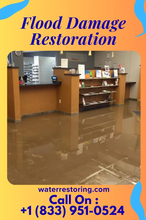 Flood Damage Restoration in Waldwick, NJ