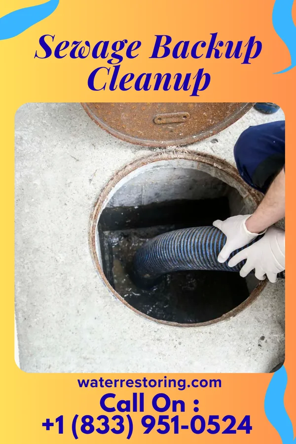 Sewage Backup Cleanup in Waldwick, NJ