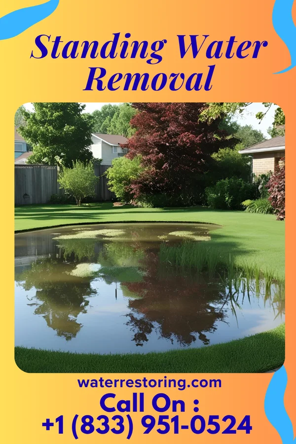 Standing Water Removal in Waldwick, NJ